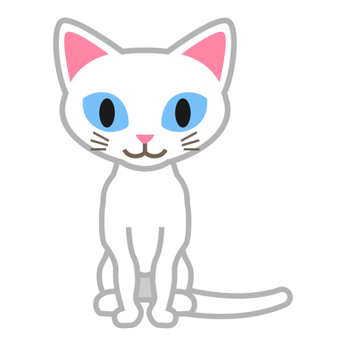 연령별 보험 추천